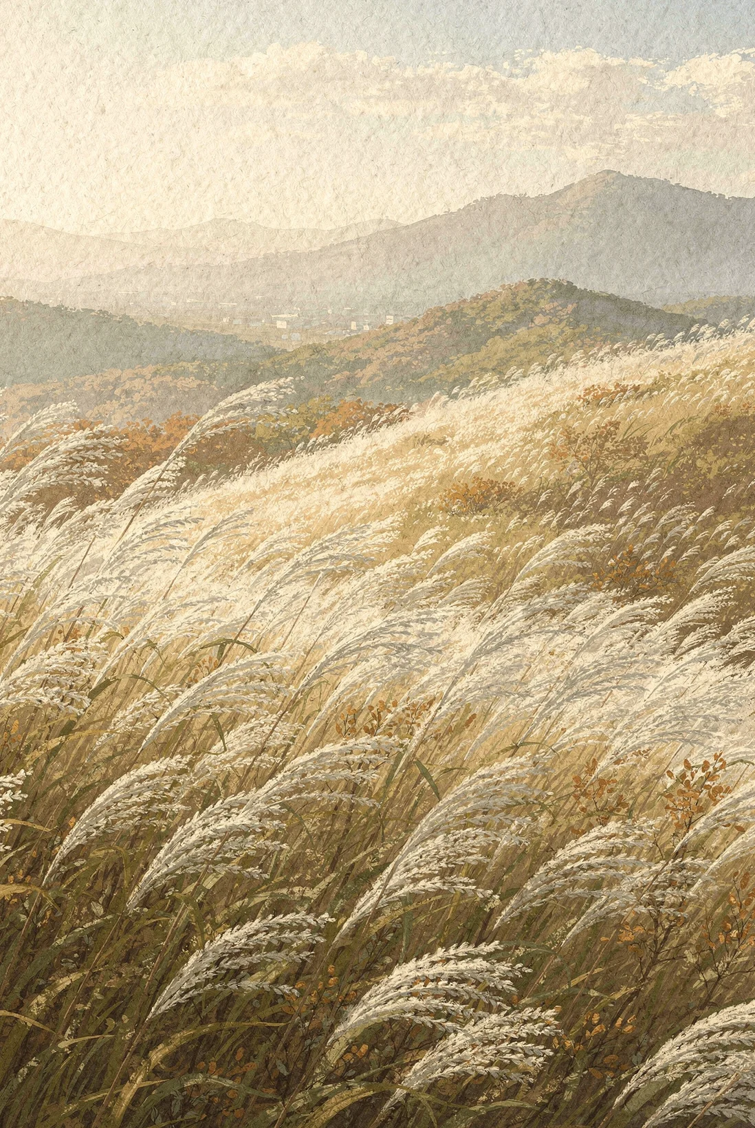 Silver Grass on the Ridge